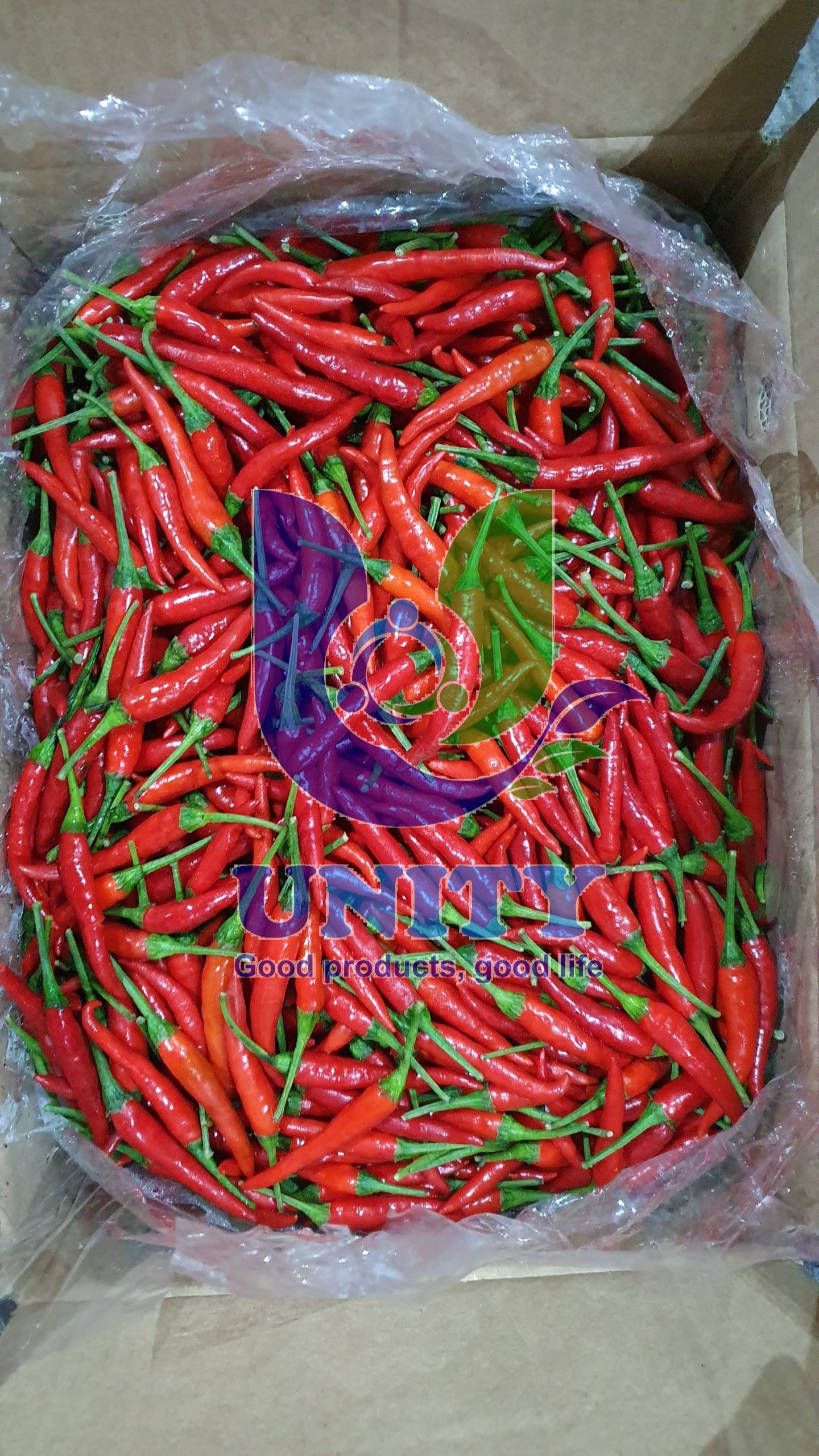 Red Chili Padi Fresh fruits and vegetable suplier